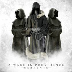 A Wake In Providence : Through the Eyes of a Traitor